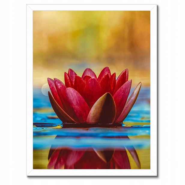 Plakáty v rámu 30x40 Leknín Květina Voda