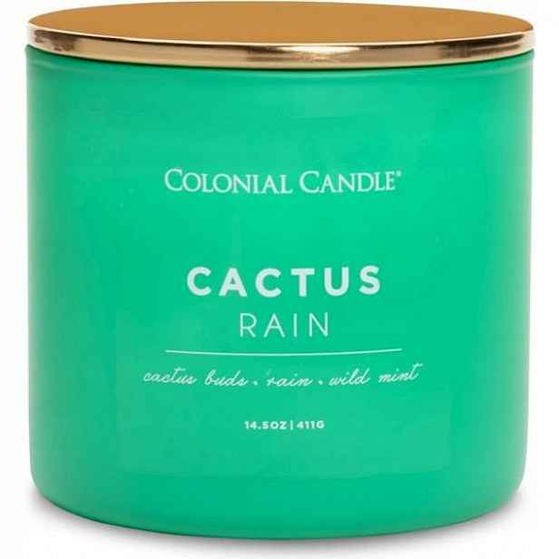 Vonná svíčka Pop Of Color Cactus Rain 411 g