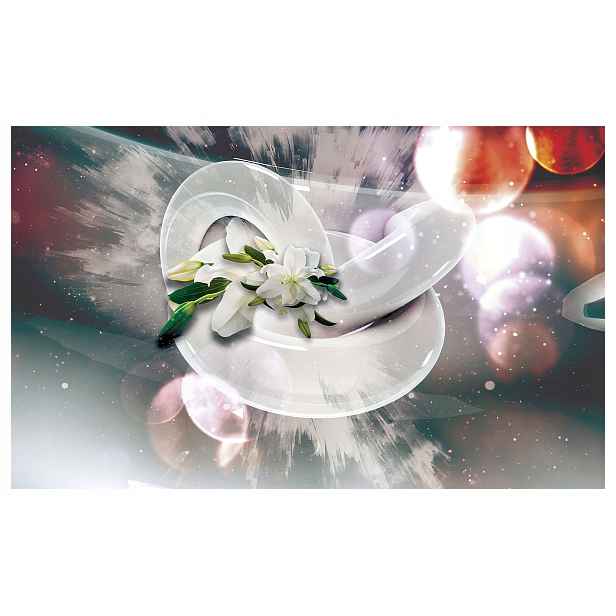 Fototapeta Abstrakt Bílé lilie Květinová abstrakce Elegance 300x210 lepidlo