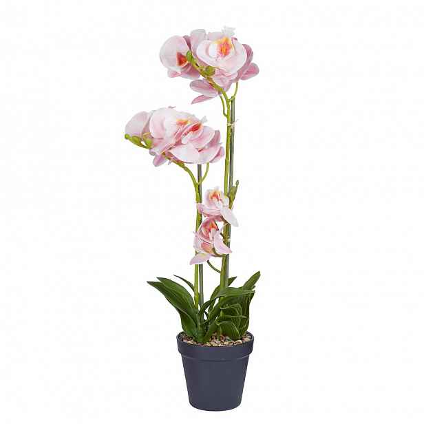 Butlers FLORISTA Orchidej v květináči 51 cm - sv. meruňková