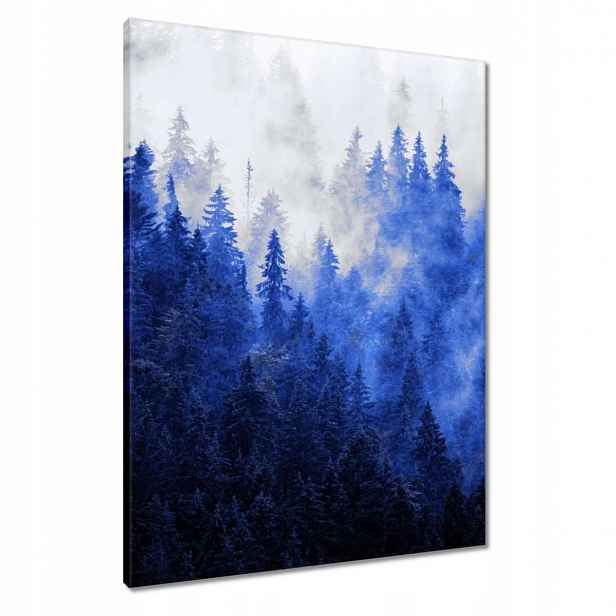 Obrazy 60x80 Modrá krajina Hory