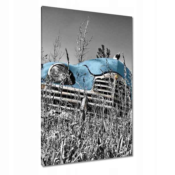 Obrazy 80x120 Světle Modrá Stařec Zabytek