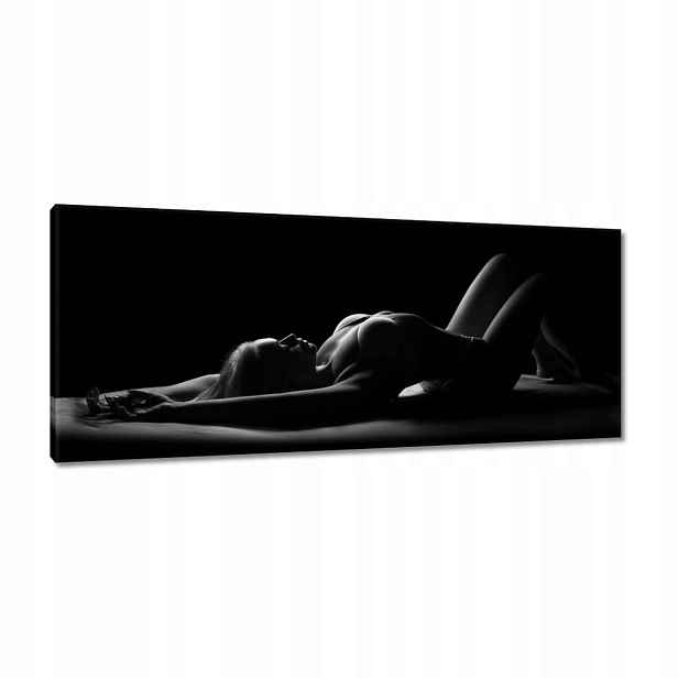Obrazy 100x40 Panna ležící na podlaze