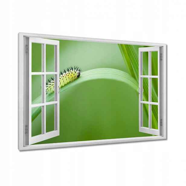 Obrazy 120x80 Zelená housenka