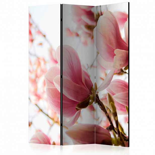 artgeist PARAVÁN, 135/172/3 cm