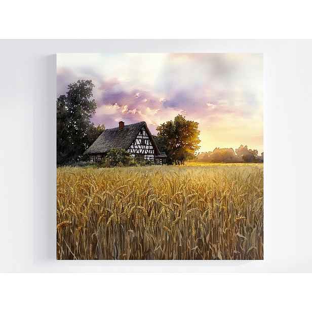 Obraz Na Plátně Canvas Krajina Venkov Dům Pole Obilí Klasy Léto 50x50