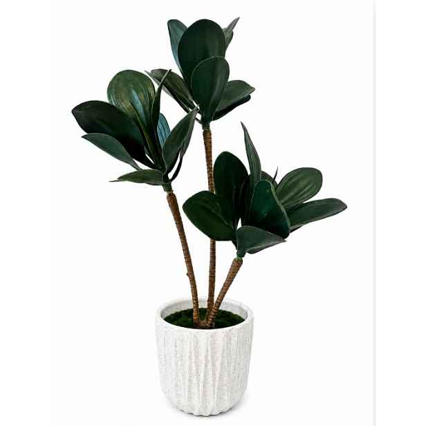 Umělá peperomie sukulent 55 cm