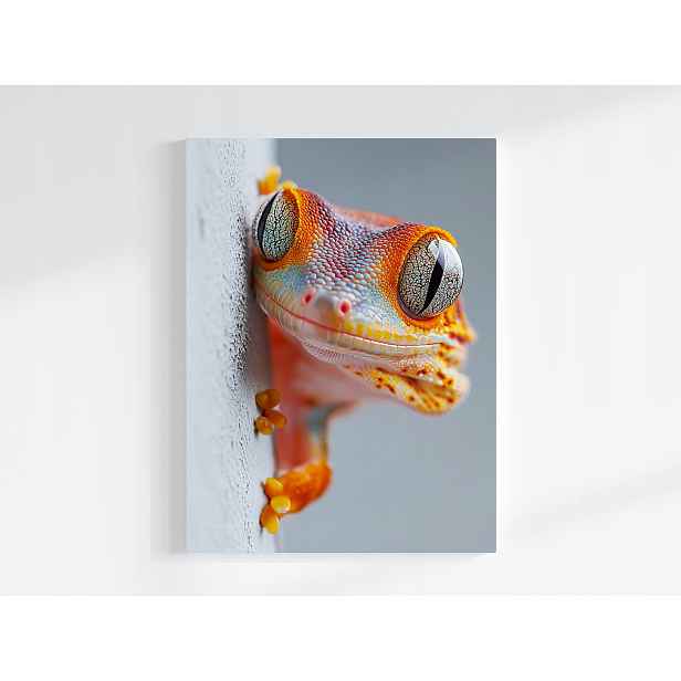 Plakát Foto Makro Gekon Ještěrka Plaz Exotika Oko 75x100