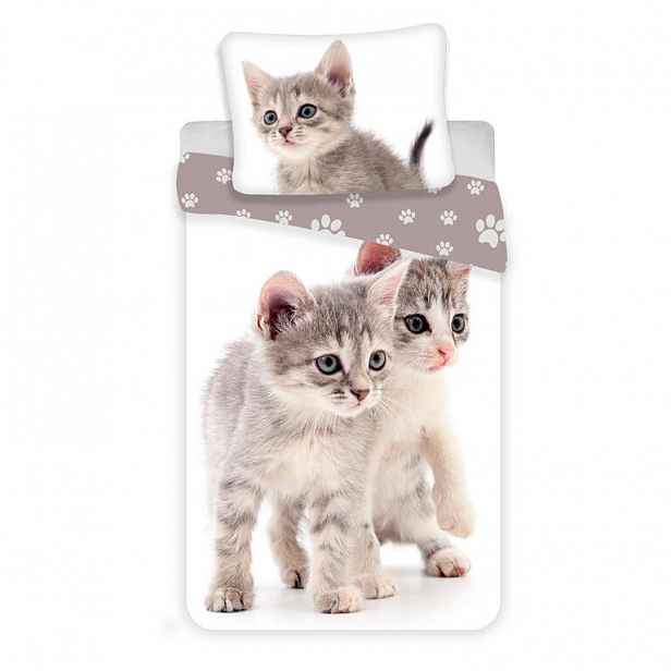 Jerry Fabrics Povlečení fototisk Kitten-kočka grey 140x200, 70x90 cm