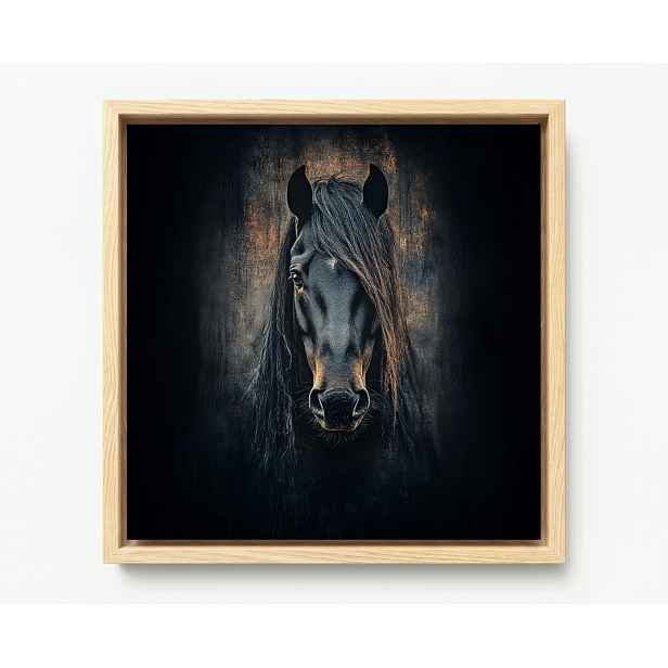 Obraz Rám Americký Box Foto Portrét Zvíře Černý Kůň Rumák Hříva 60x60