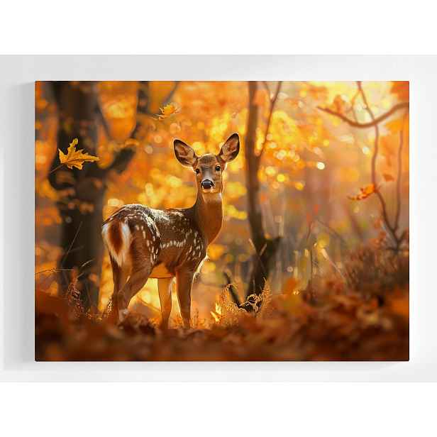 Plakát Příroda Les Podzim Srnka Zvířata 100x75