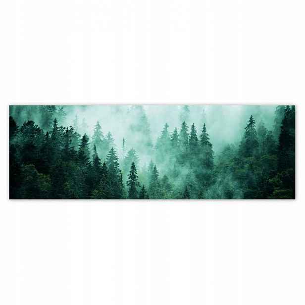 Plakáty 200x66 Les Mlha Krajina Cestování