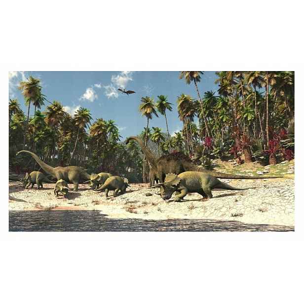 Fototapeta pro děti Dinosauři Flizelina 416x254