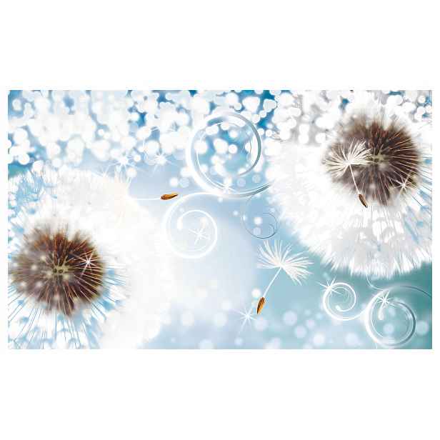 Fototapeta pampeliška bokeh bílá světle modrá vinylová 368x254 lepidlo