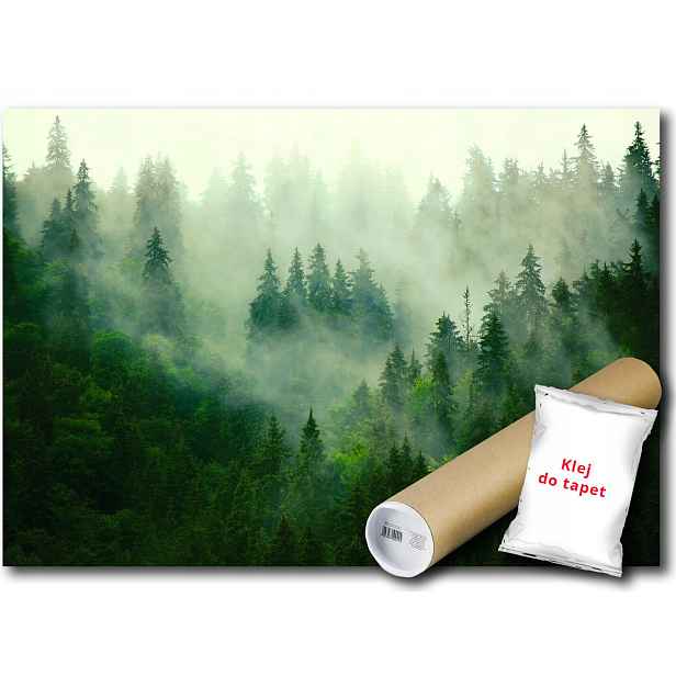 Vinylová Fototapeta Hory Les Mlha Stromy 152x104