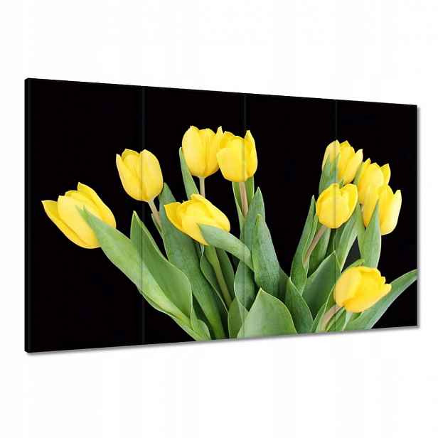 Obrazy 120x80 Žluté tulipány