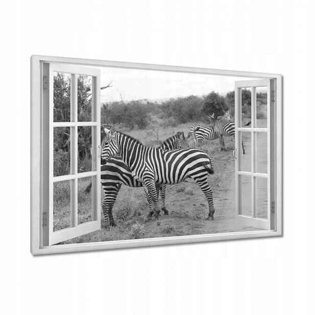 Obrazy 90x60 Zebra