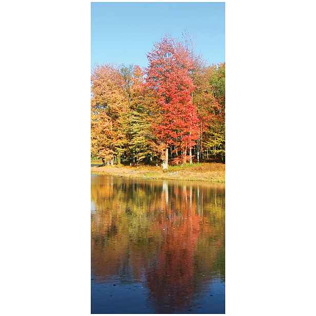 Samolepka Tapeta Podzimní jezero Krajina do obývacího pokoje 91x211 Podzimní klid