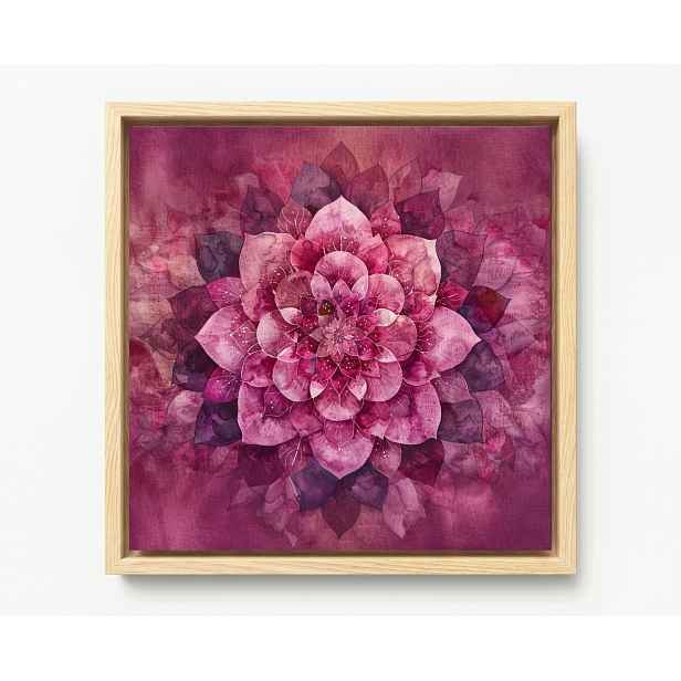Obraz Rám American Box Růžová Mandala Lotosu Harmonie Vloček 50x50