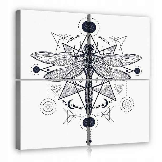 Obraz Na Plátně Plátno 50x50 Vážka Hmyz Kresba Umění Geometrie Symbol