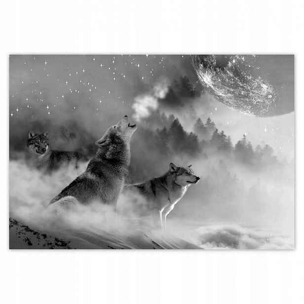 Fototapety 152x104 Vlk vyjící k měsíci