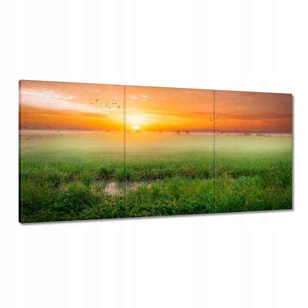 Obrazy 120x60 Východ slunce Budíček