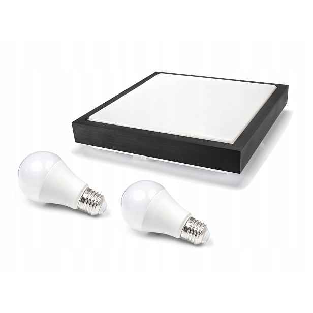Stropní Svítidlo 2XE27 Lampa Panel 2X Led Žárovka 10W 3000K