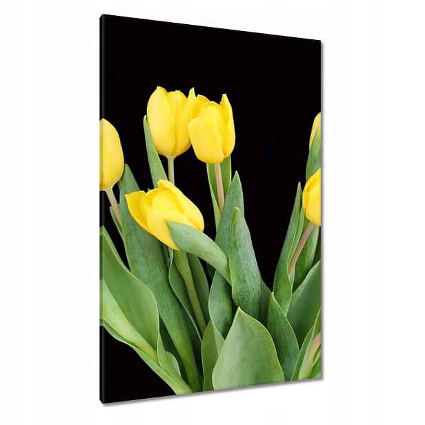 Obrazy 80x120 Žluté tulipány