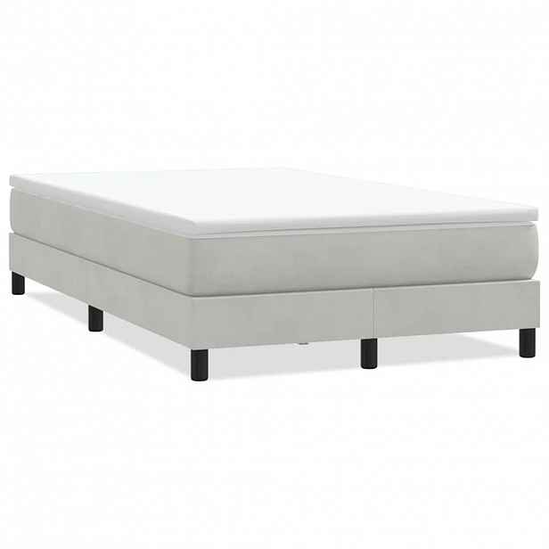 vidaXL Postel Box Spring bez matrace světle šedá 120x220 cm samet