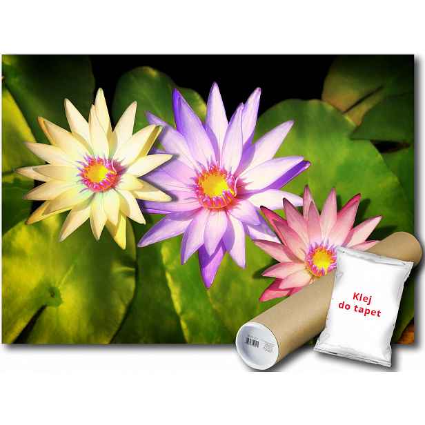 Fototapeta Květy Kvítečky 9E F2XL 312x219 F1558