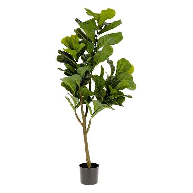 Umělý fíkus (výška 150 cm) Lyrata – Kave Home