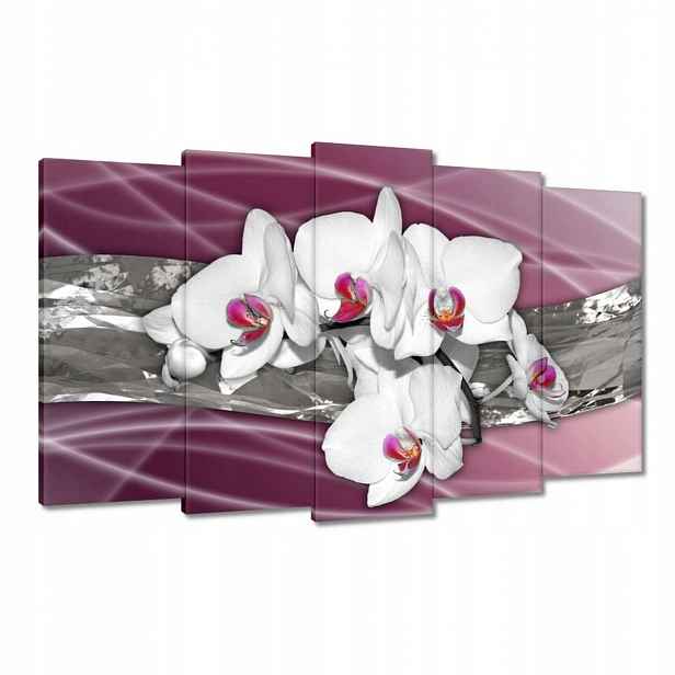 Obrazy 100x60 Bílé orchideje na růžovém pozadí