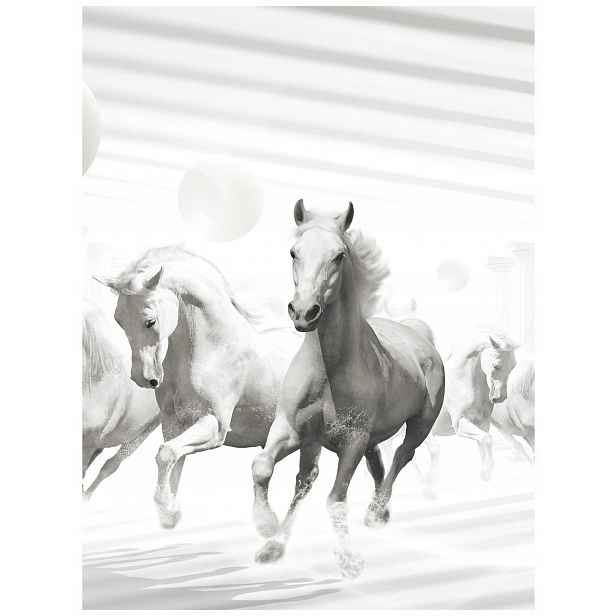 Fototapeta Kůň Koně Galop Příroda Efekt 3D 184x254