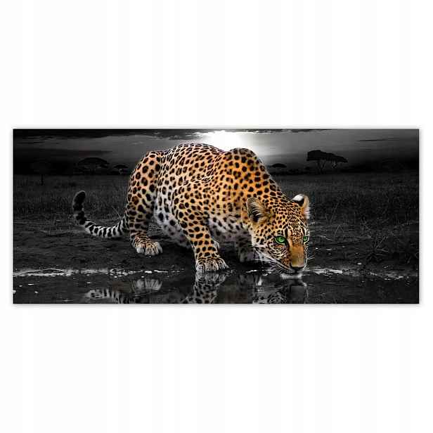 Fototapety 211x91 Na Zeď Gepard Do Ložnice