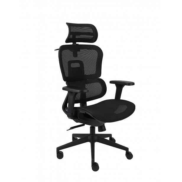 Ergonomické kancelářské křeslo Pedro