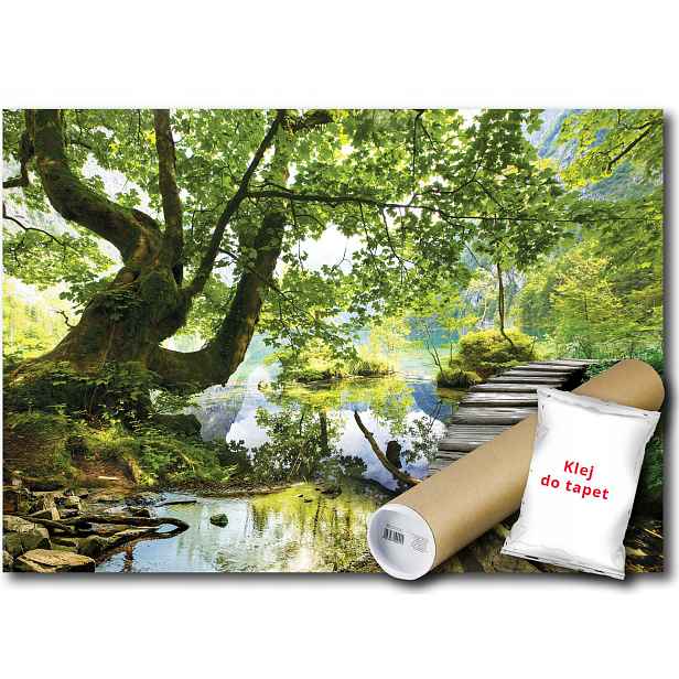 Vinylová fototapeta Most přes vodu, krajina 152x104