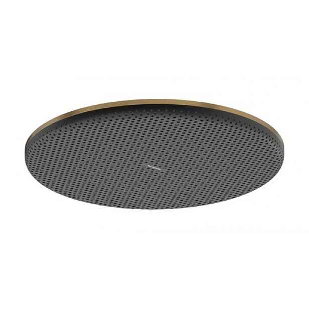 Hlavová sprcha Hansgrohe Raindance Alive S na strop nebo na stěnu kartáčovaný bronz 24521140