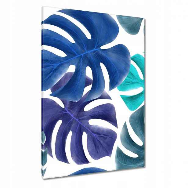 Obrazy 70x100 Monstera Listy Modrá