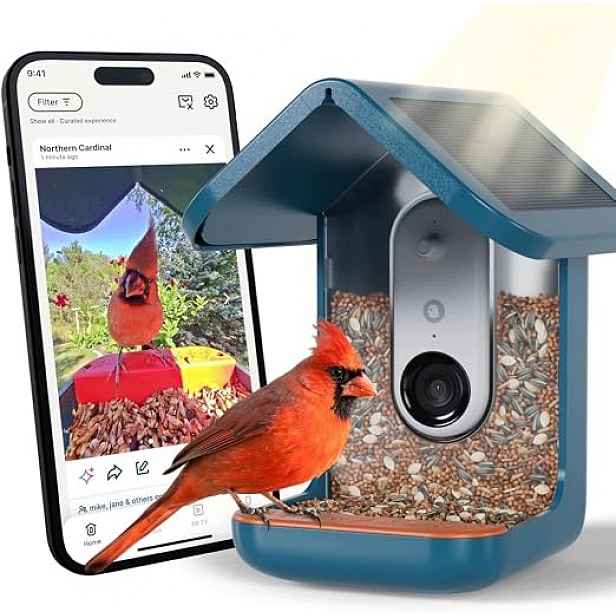 Bird Buddy Krmítko pro ptáky Smart Blue se solárním panelem 2233P