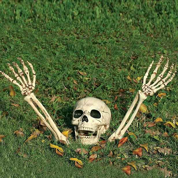 Halloweenská Kostra Lebka S Rameny Realistická Dekorace Zahrada Dům