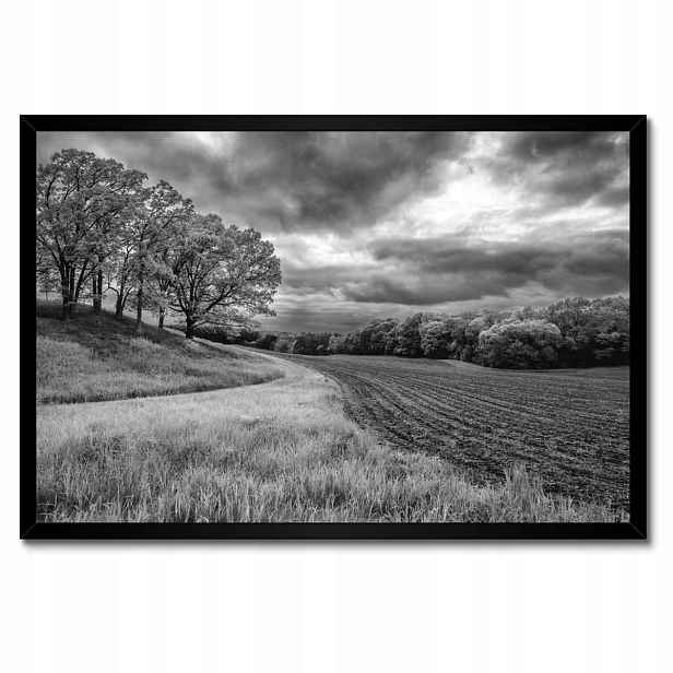 Plakáty v rámu 60x40 Černobílé pole
