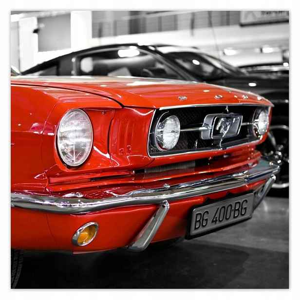 Plakáty 140x140 Červený Mustang