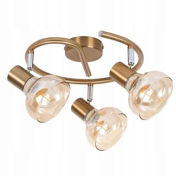 Spotová reflektorová lampa Holly 5549 Rabalux