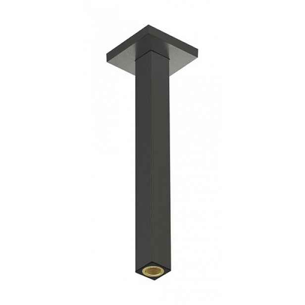 Sprchové rameno Hansgrohe kartáčovaný černý chrom 24339340