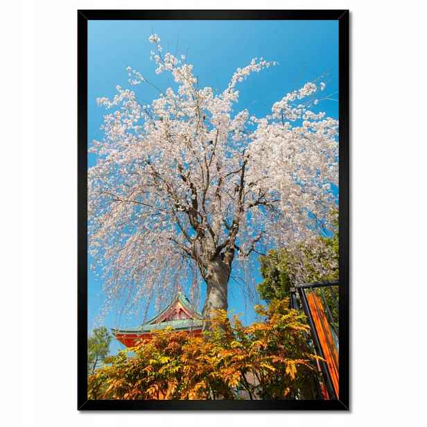 Plakáty v rámu 40x60 Kvetoucí višeň