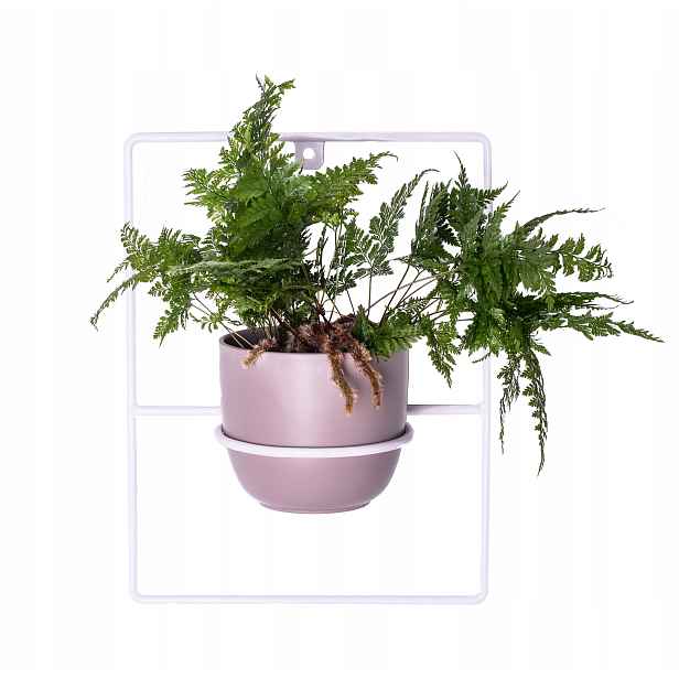 Držák Na Květináč Pilea obdélníkový nástěnný závěsný kovový na zeď, bílý