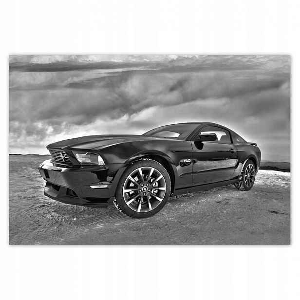 Fototapety 200x135 Ford Mustang na sněhu Auto Klasika Vyrobeno v Usa