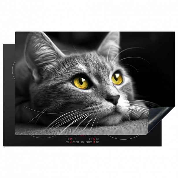 MuchoWow KRYT NA INDUKČNÍ DESKU Kočka - Grey - Zvířata - Cat 81x52 cm