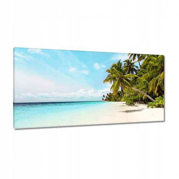 Obrazy 115x55 Tropy Krajina Palmy