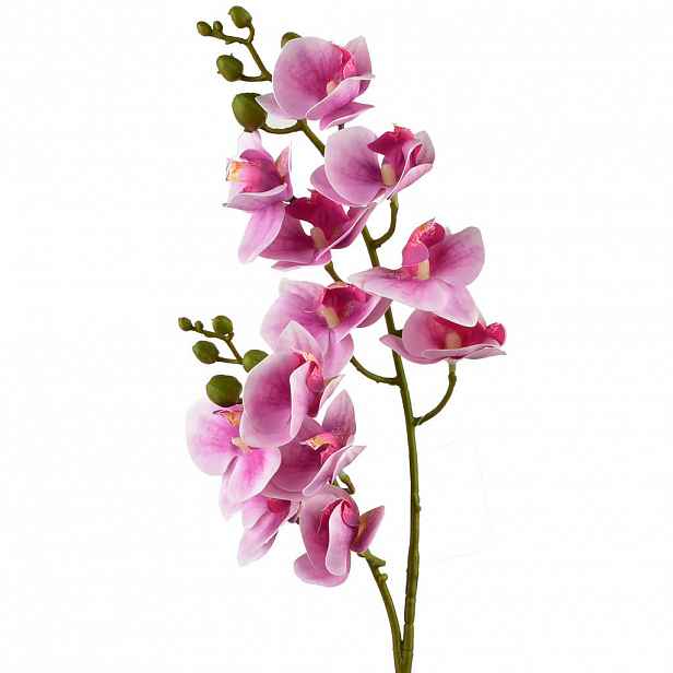 Mondex UMĚLÁ ORCHIDEJ Viridis